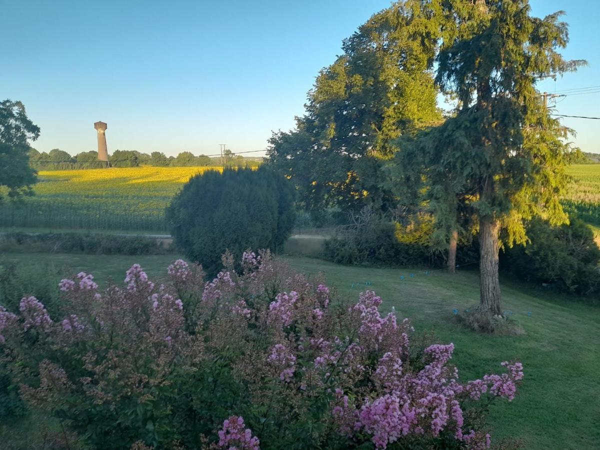 Bed and Breakfast Chateau Ardilleux Exterior foto